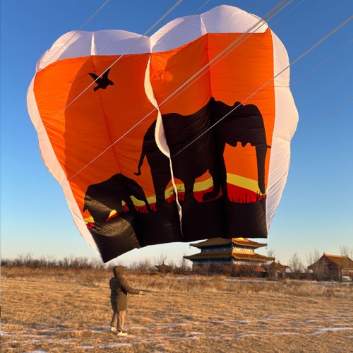 12sq.m elephant pilot  lifter kite